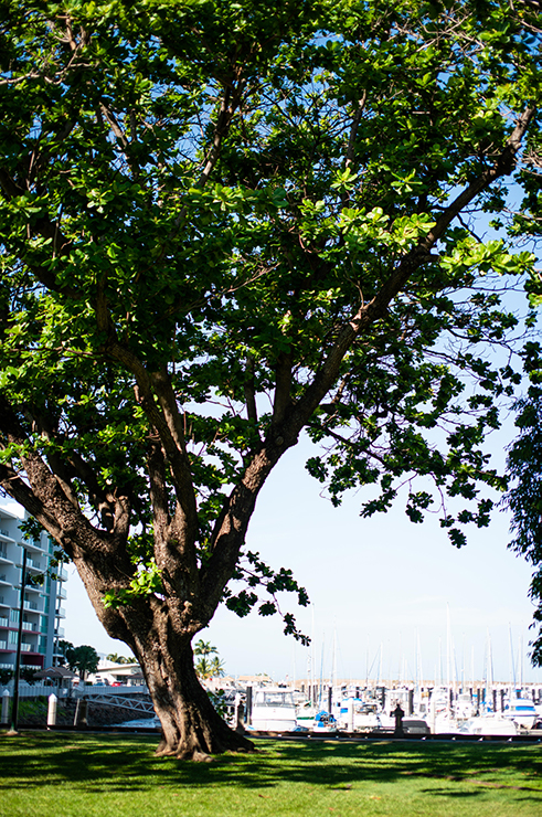 Anzac Park